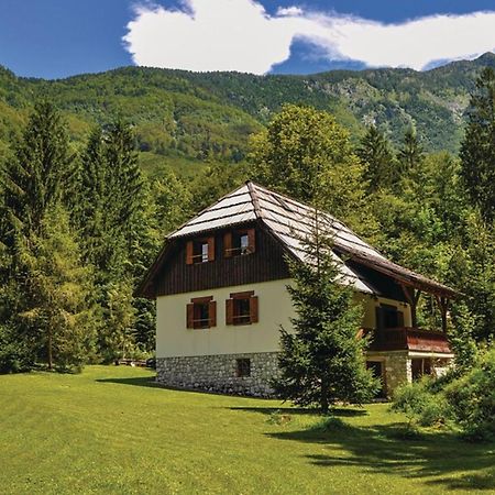 Chalet Primus Near Soca Gorge - Happy Rentals Экстерьер фото