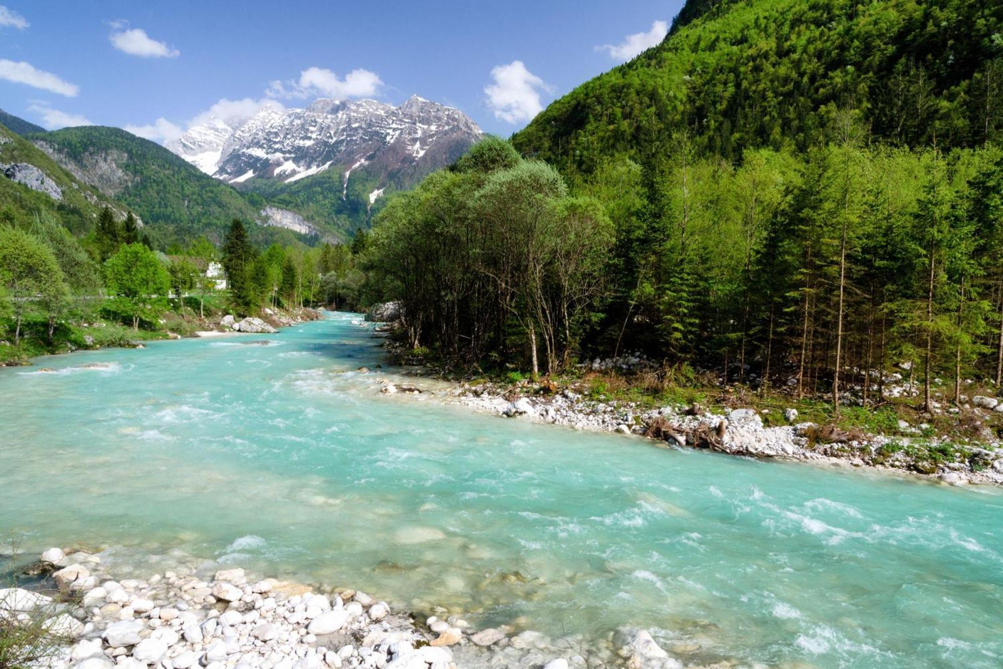 Chalet Primus Near Soca Gorge - Happy Rentals Экстерьер фото