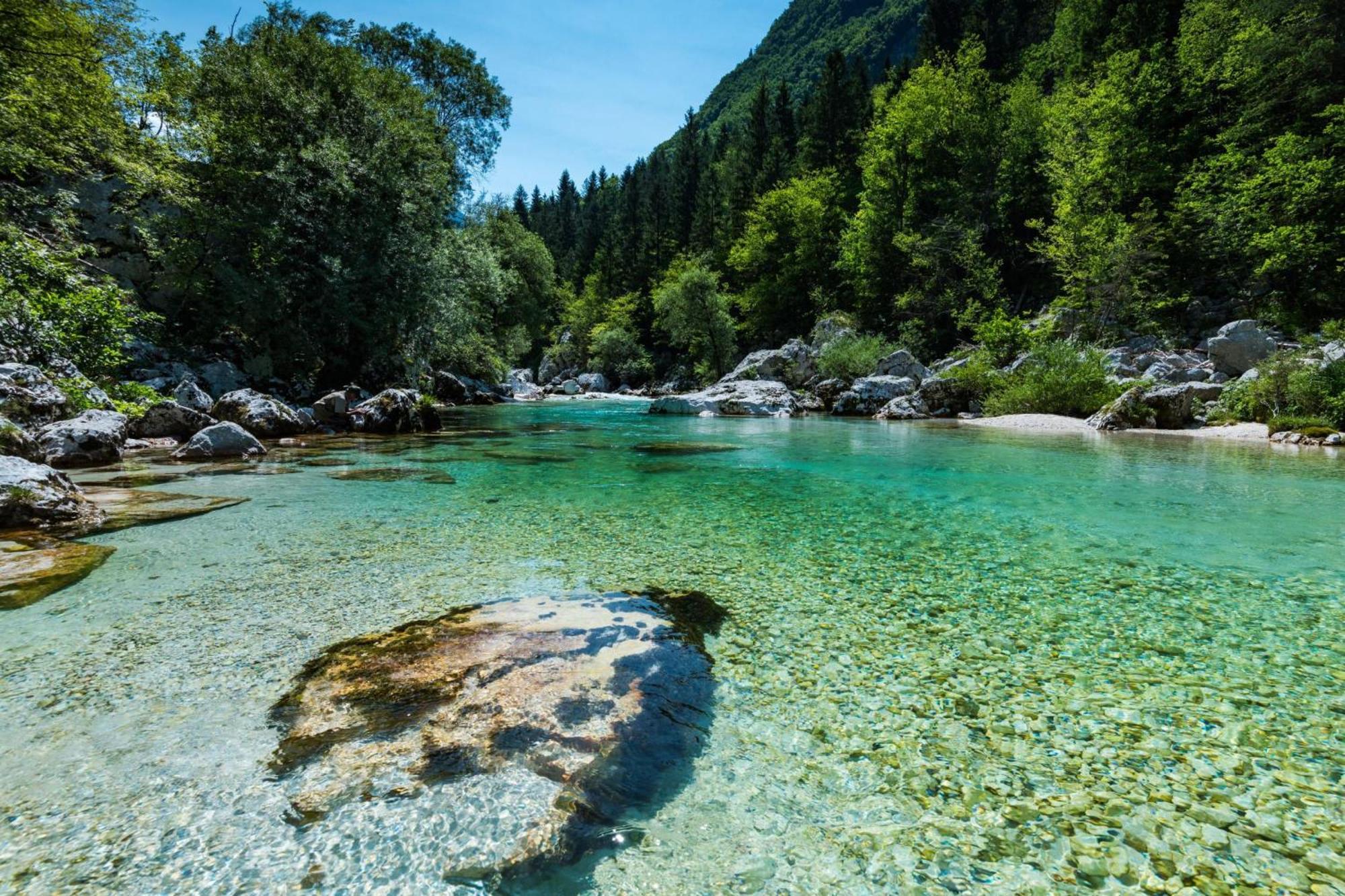 Chalet Primus Near Soca Gorge - Happy Rentals Экстерьер фото